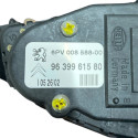 Pedal Acelerador Eletrônico Peugeot 206 9639961580 Original