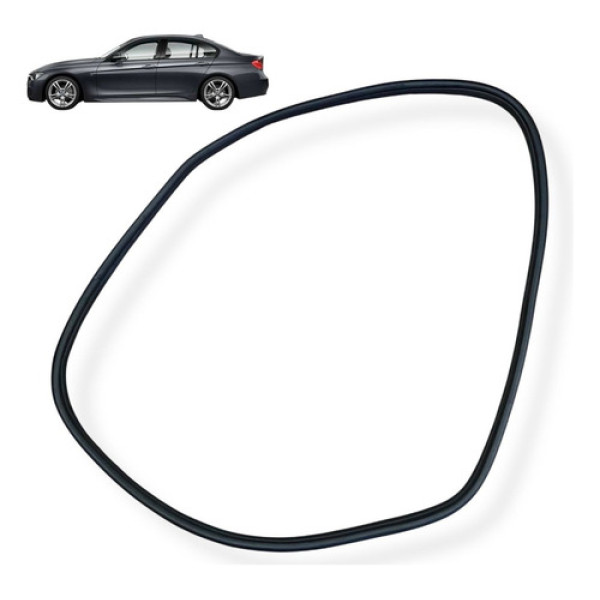 Borracha Porta Traseira Direita Bmw 320i 2014 2017 Usado