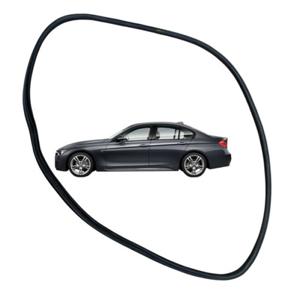 Borracha Porta Traseira Esquerda Bmw 320i 2014 2017 Usado
