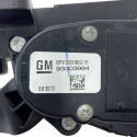 Pedal Do Acelerador Chevrolet Celta 2010 93303984 Original